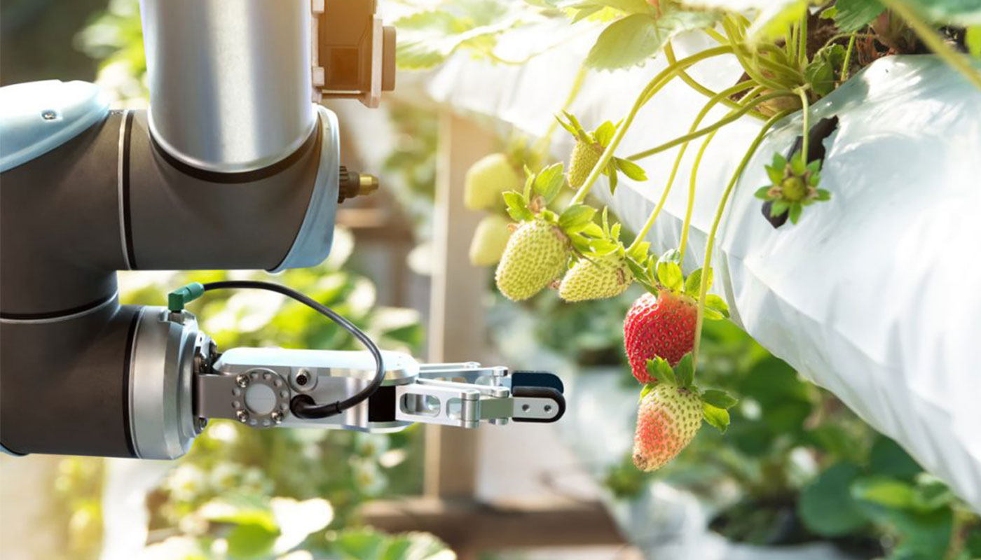 Robots in Agriculture